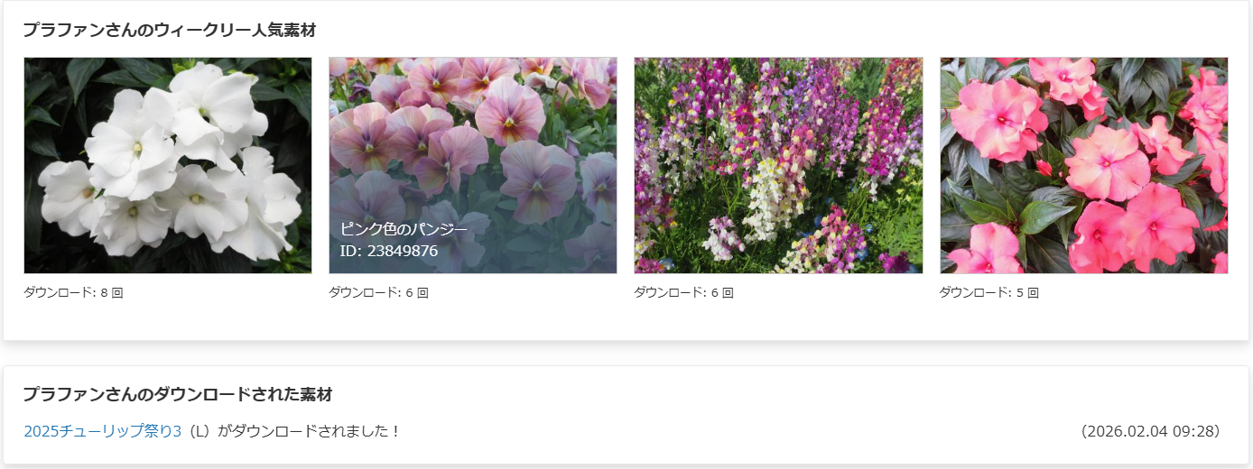 写真販売プラファン